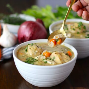 Chicken and Dumpling in a bowl