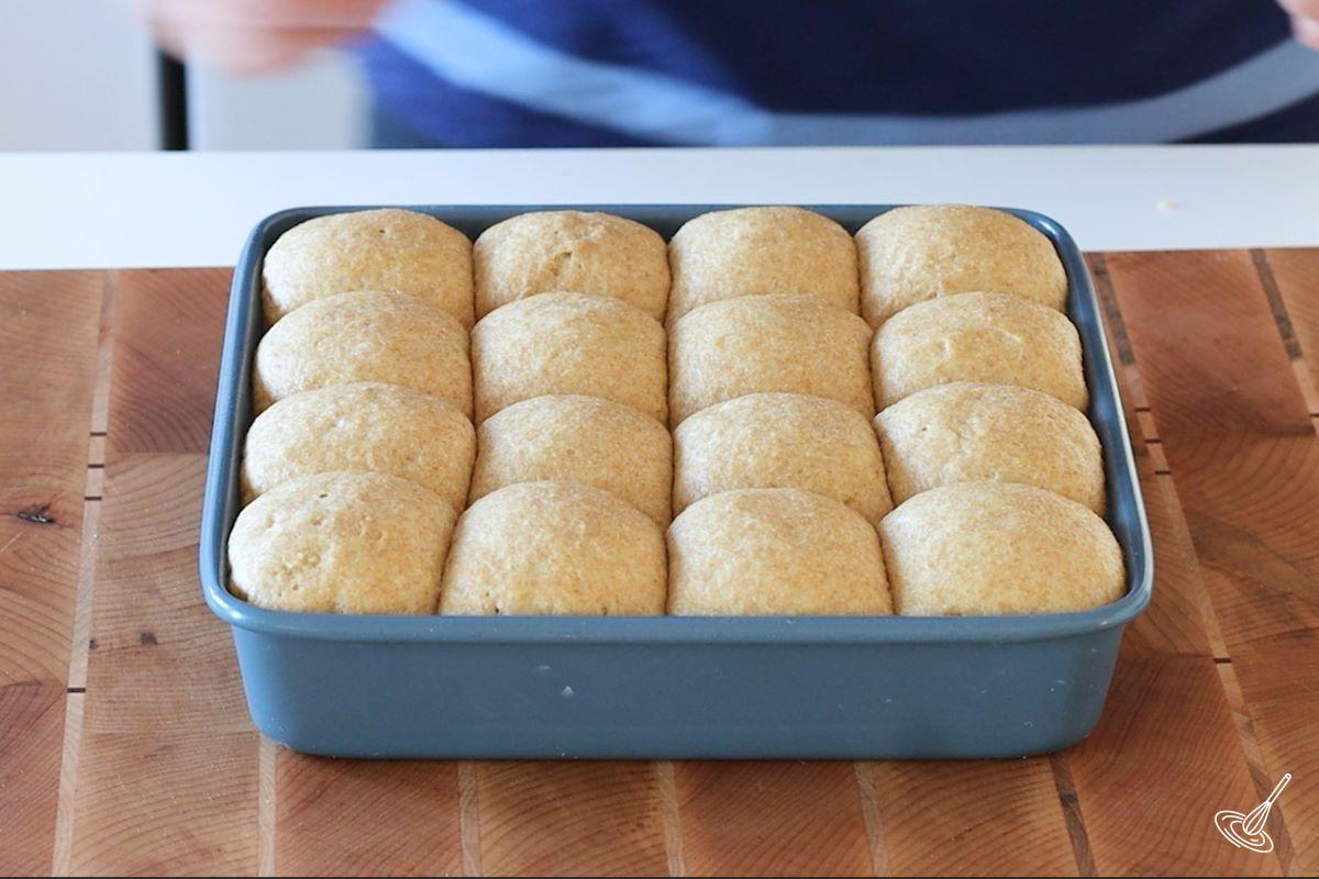 Einkorn Dinner Rolls ready for the oven.