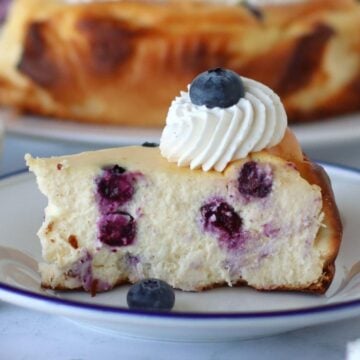 Blueberry Basque Cheesecake on a plate.