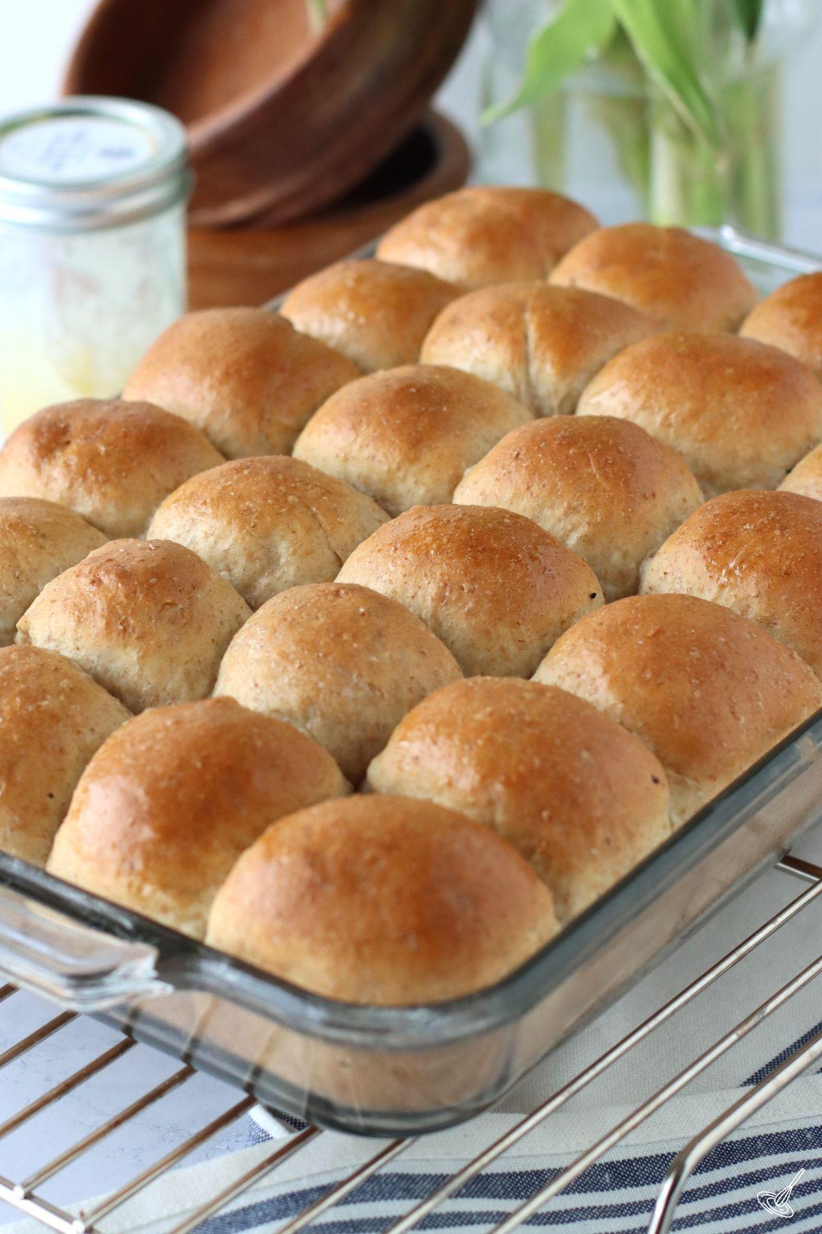 Baked Honey Whole Wheat Dinner Rolls in a baking dish.