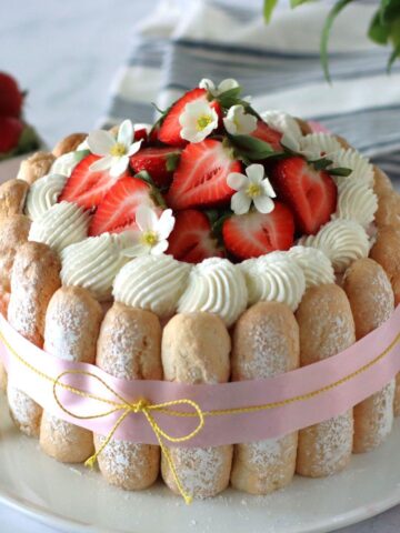 Charlotte aux fraises et au citron servie dans une assiette.