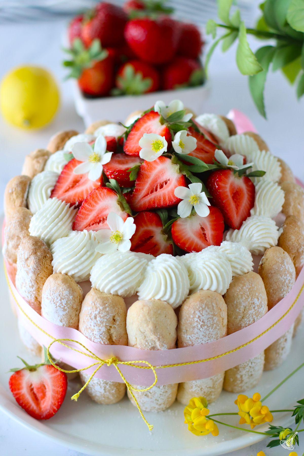 Strawberry Lemon Charlotte Cake