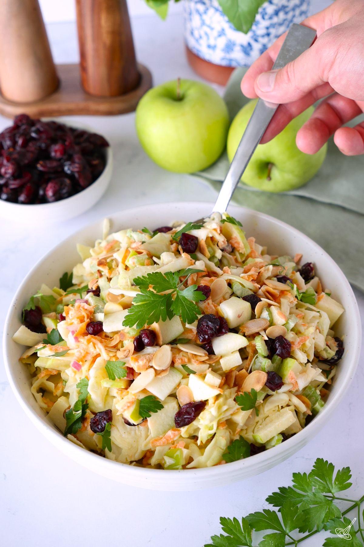 Apple Cranberry Coleslaw in a serving bowl. 